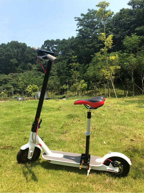 Electric vehicle shock cushion