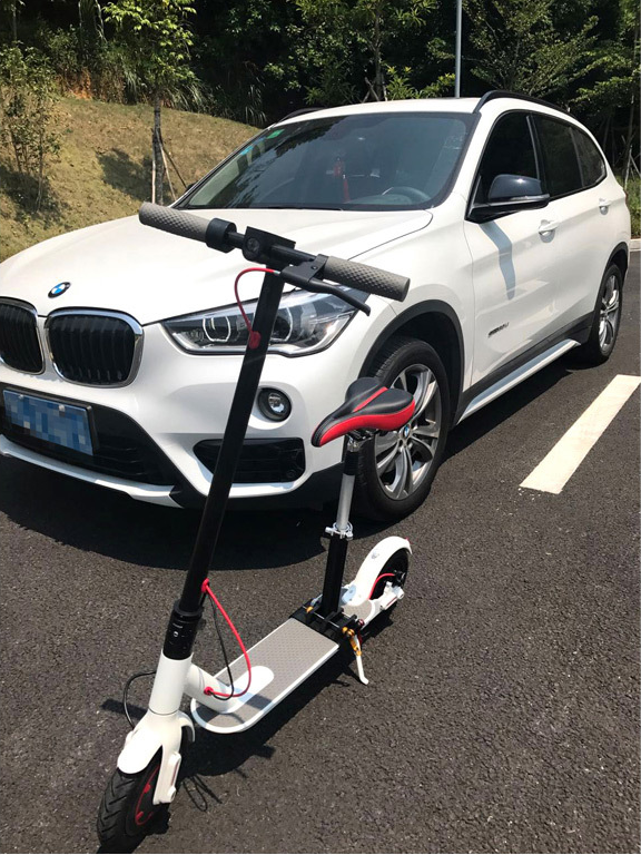 Electric vehicle shock cushion
